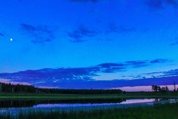 Tétényi úti arcok csoport logo